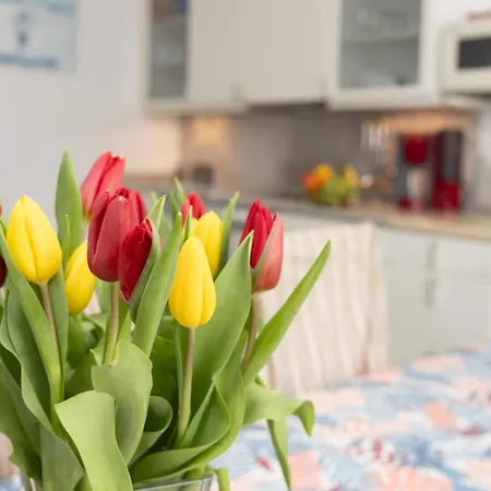 Haus Am Streckelsberg - App- 10 By Interhome * Koserow