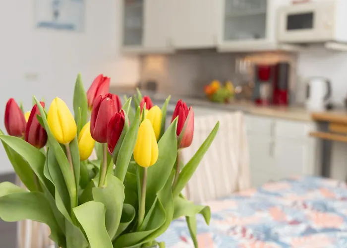 Haus Am Streckelsberg - App- 10 By Interhome * Koserow